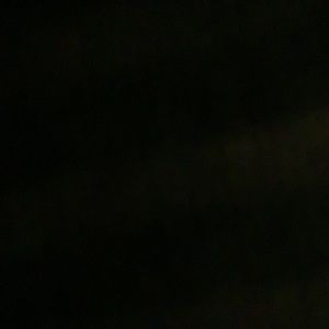 Meet your Posher, Willie